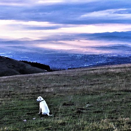 Da Franca Panzió Assisi Kültér fotó