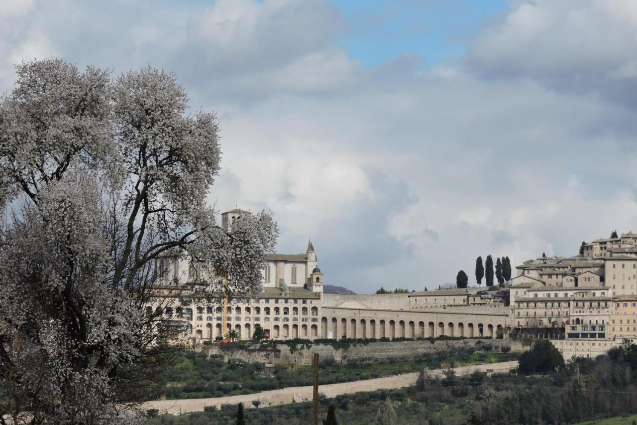 Da Franca Panzió Assisi Kültér fotó
